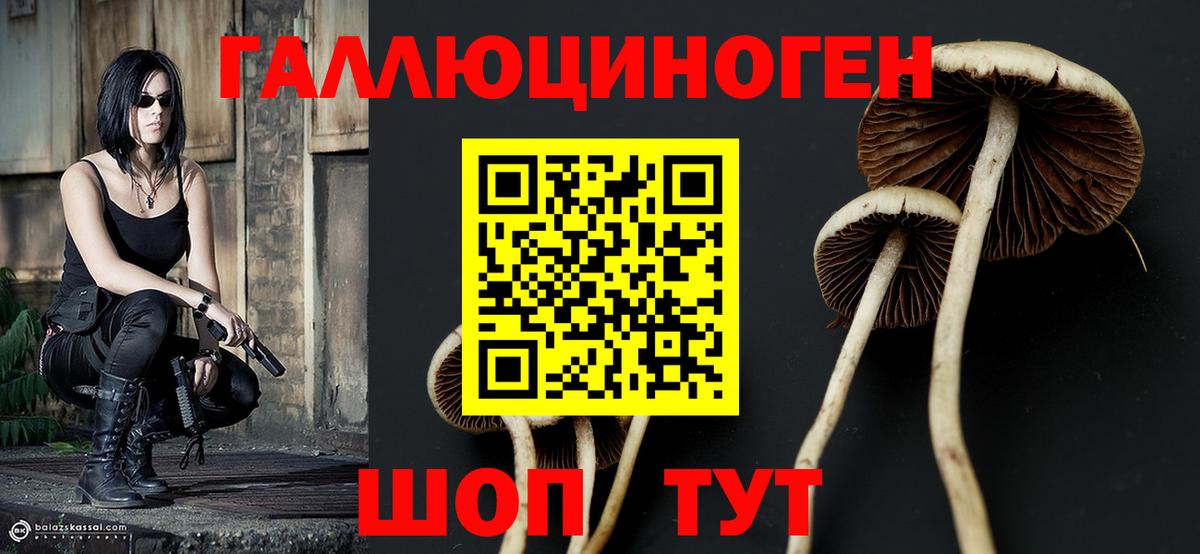 Псилоцибиновые грибы ЛСД  Вход с VPN  Псилоцибиновые грибы Magic Shrooms  Саратов 